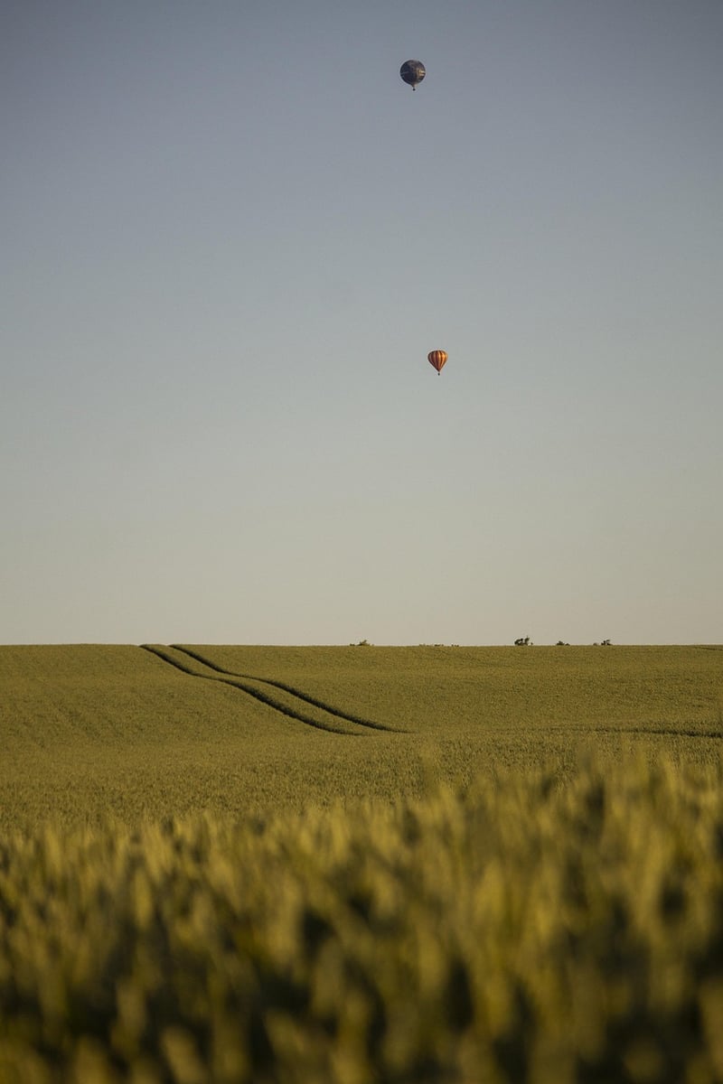 Fairy-tale Clearings